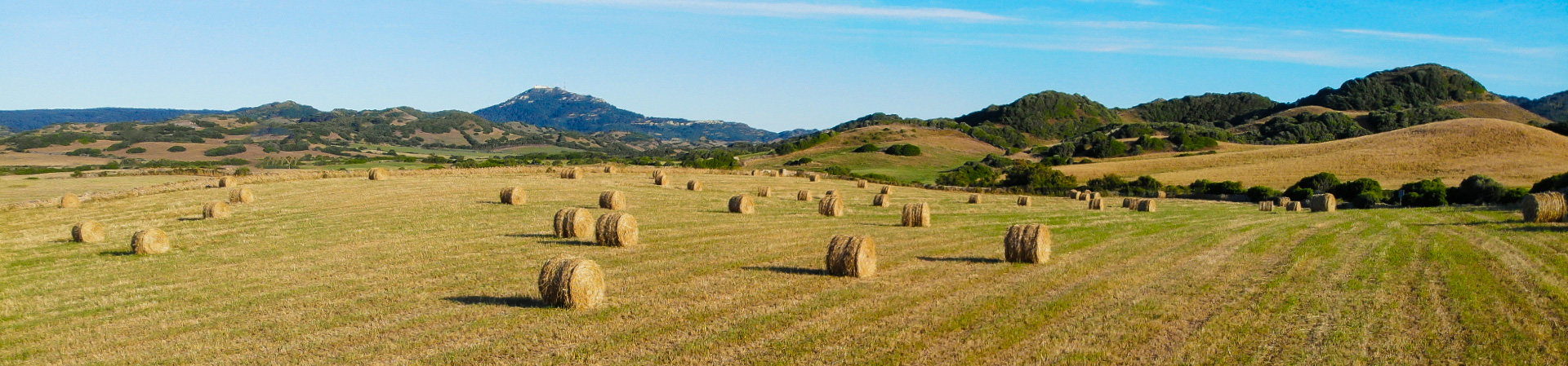 Hay bales in Monte Toro, Menorca