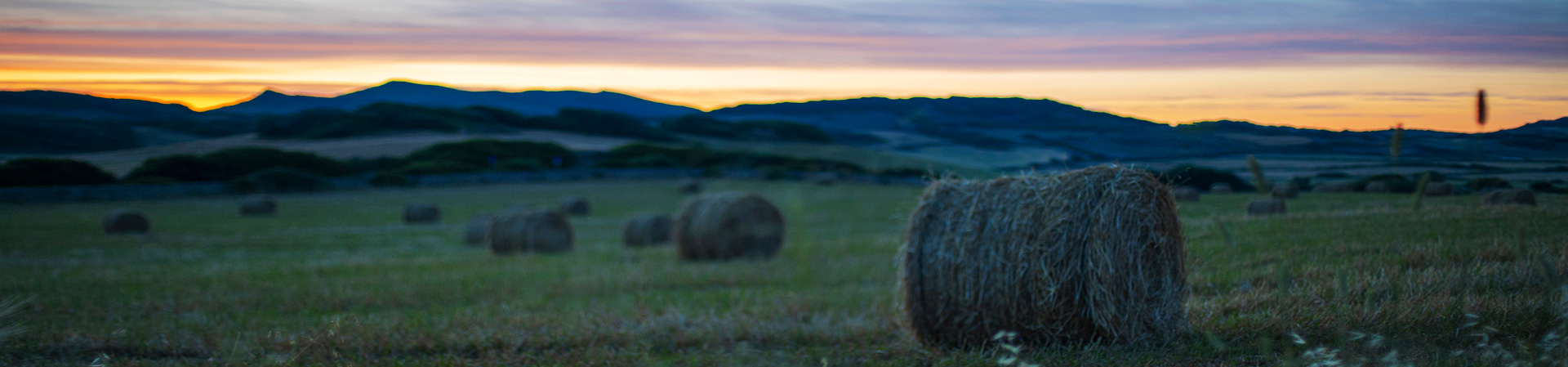 Hay bales at sunset in Menorca